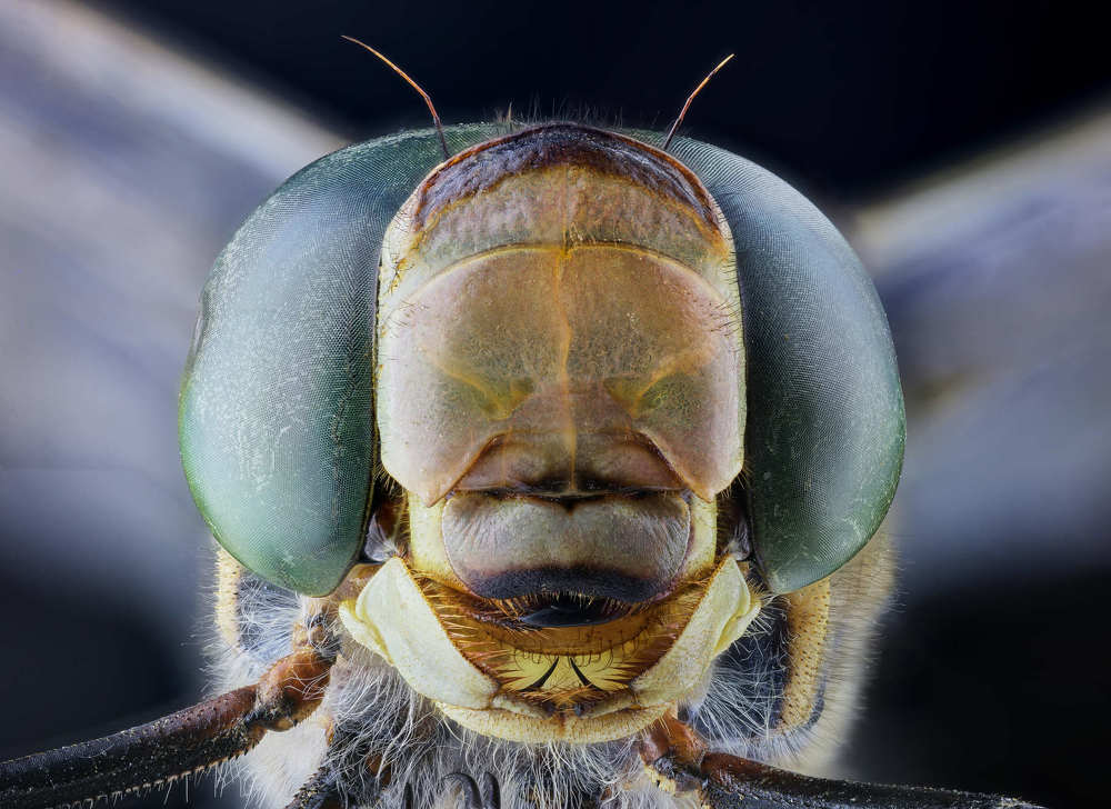 Photograph by Jevgenija Sepeliova