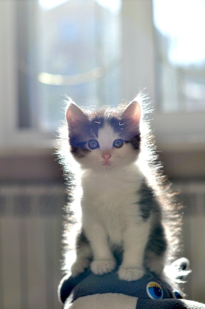 Фотография автора Степин Геннадий