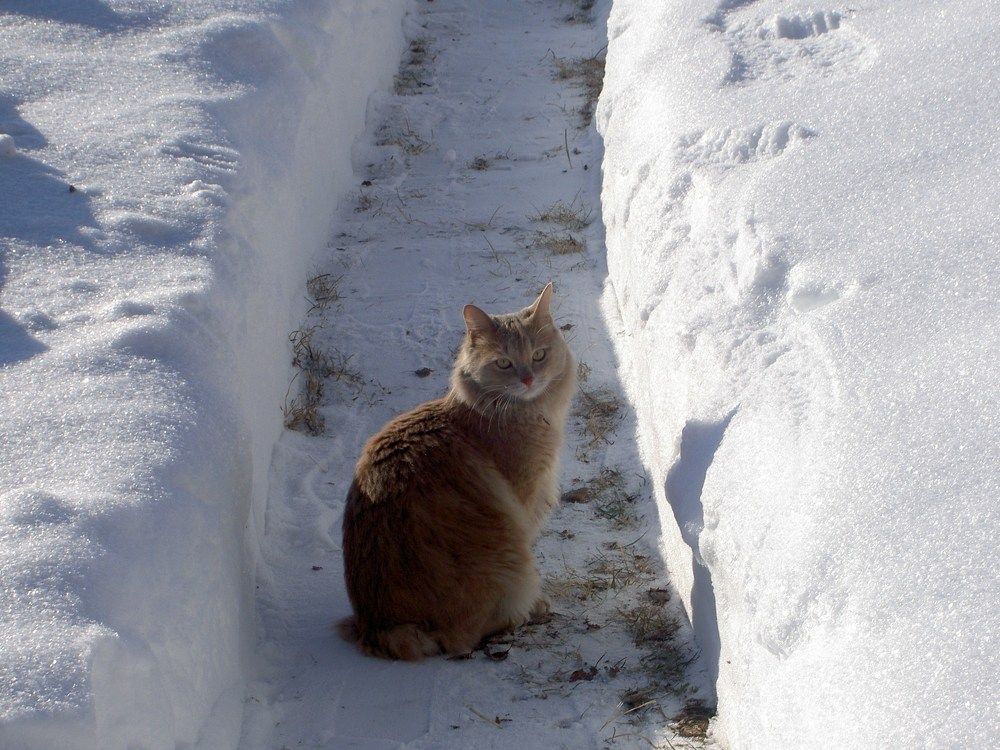 Photograph by Владимир