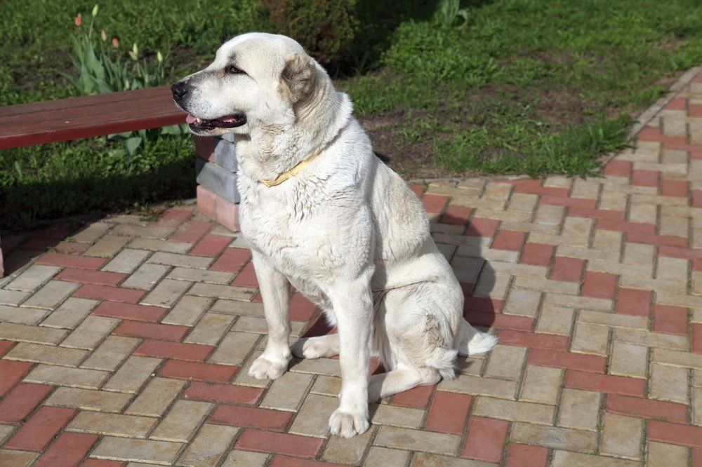 Photograph by Владимир