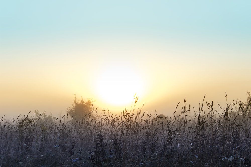 Туманный рассвет