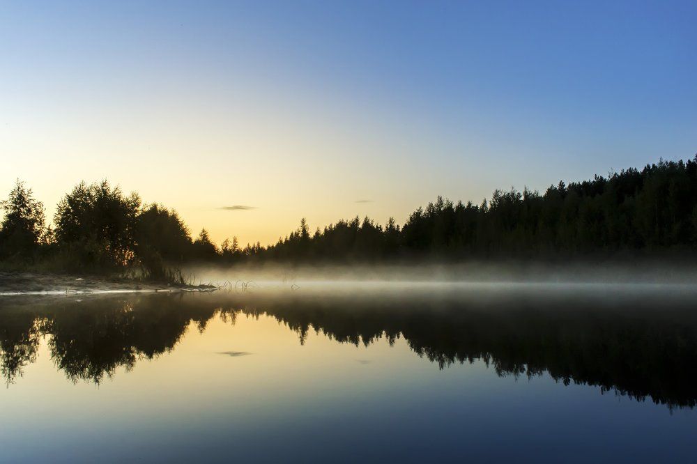 Туман на болоте