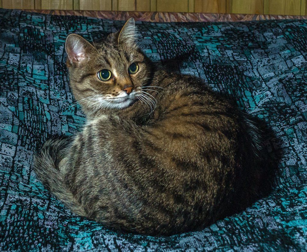 Прерванный отдых