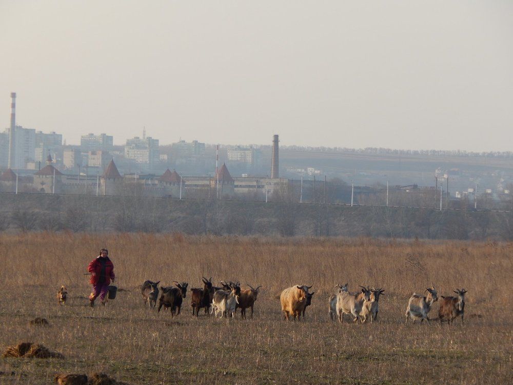 Photograph by Алена