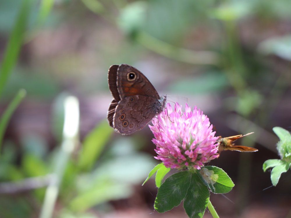 Photograph by Евгения