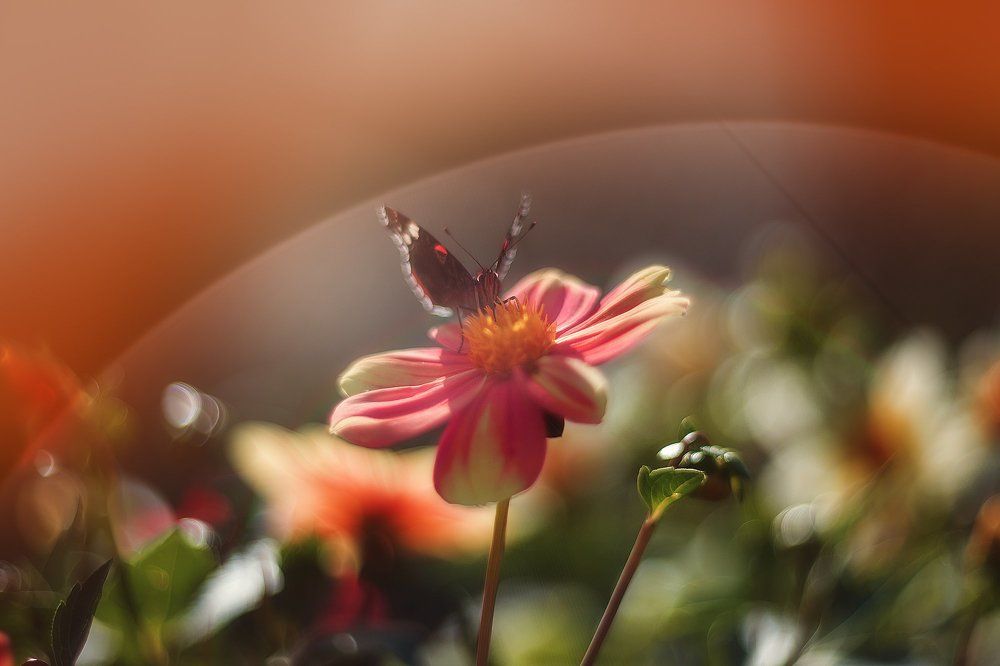 Воздушная душа