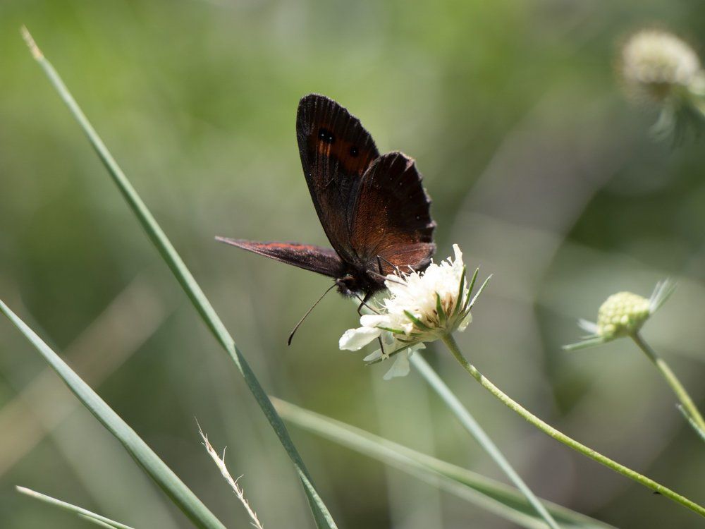 Photograph by Евгения