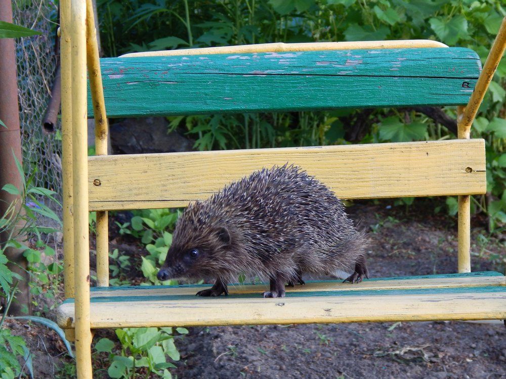 Photograph by Алена