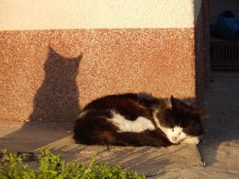 Photograph by Алена