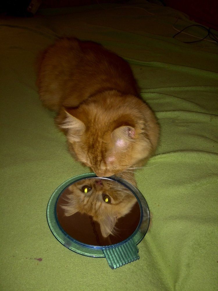 Photograph by Олеся Евсеенко