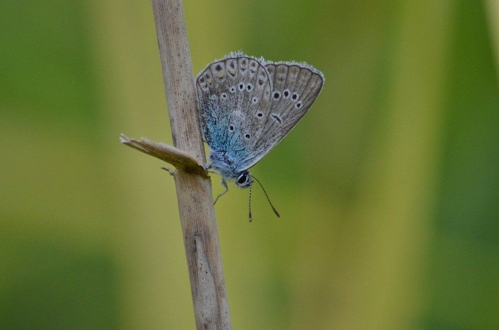 Photograph by Галина Катанова