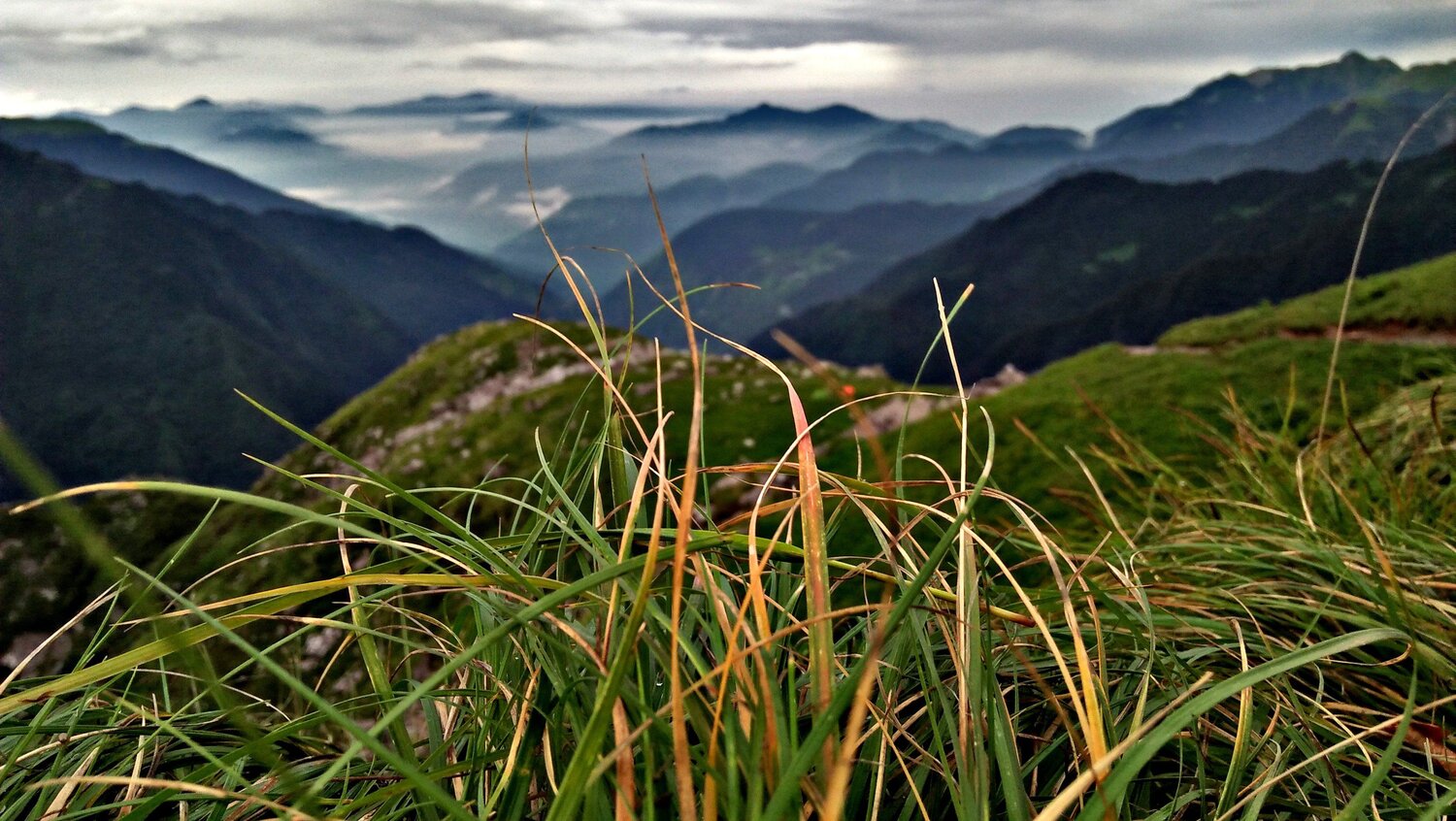 Himalayan Range