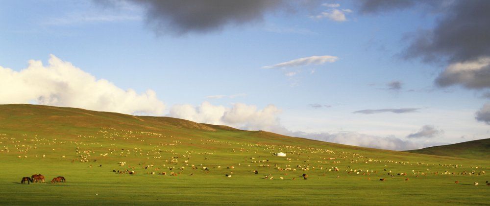 The sunny evening