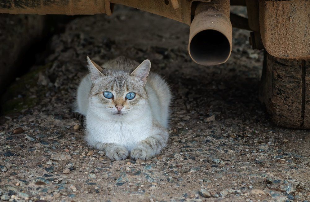 А мне и здесь прекрасно