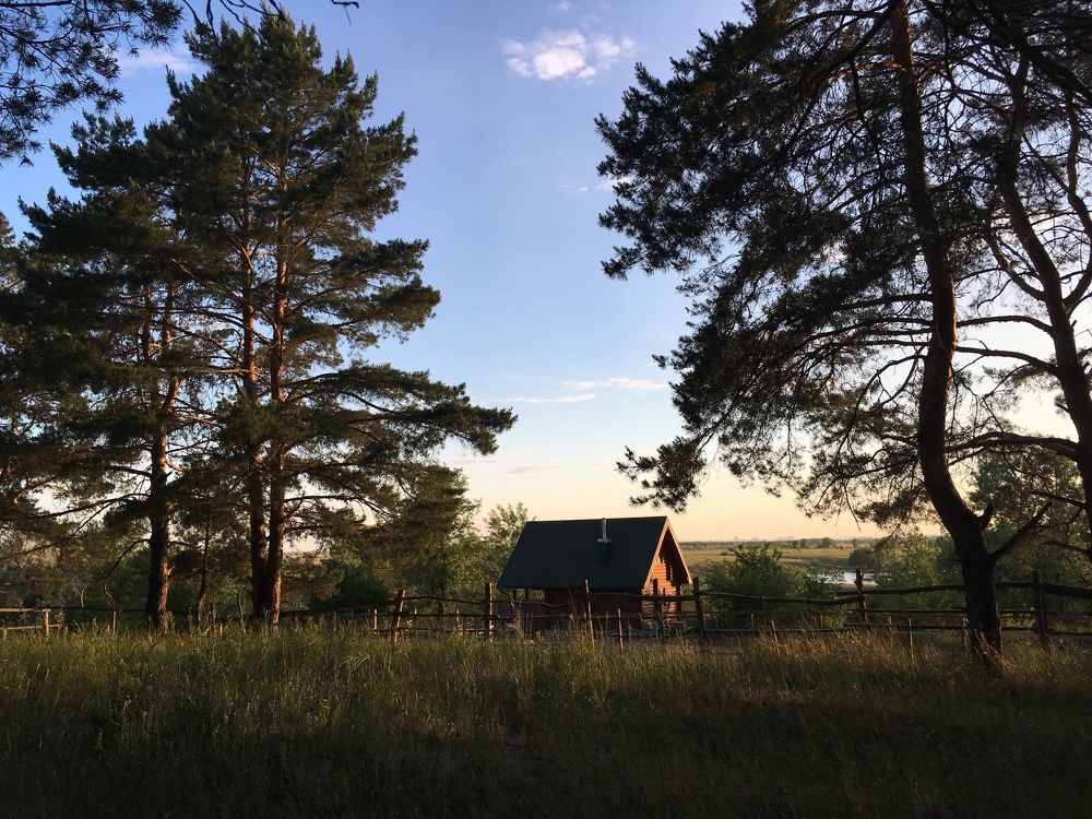 Конюшня в сосновом бору