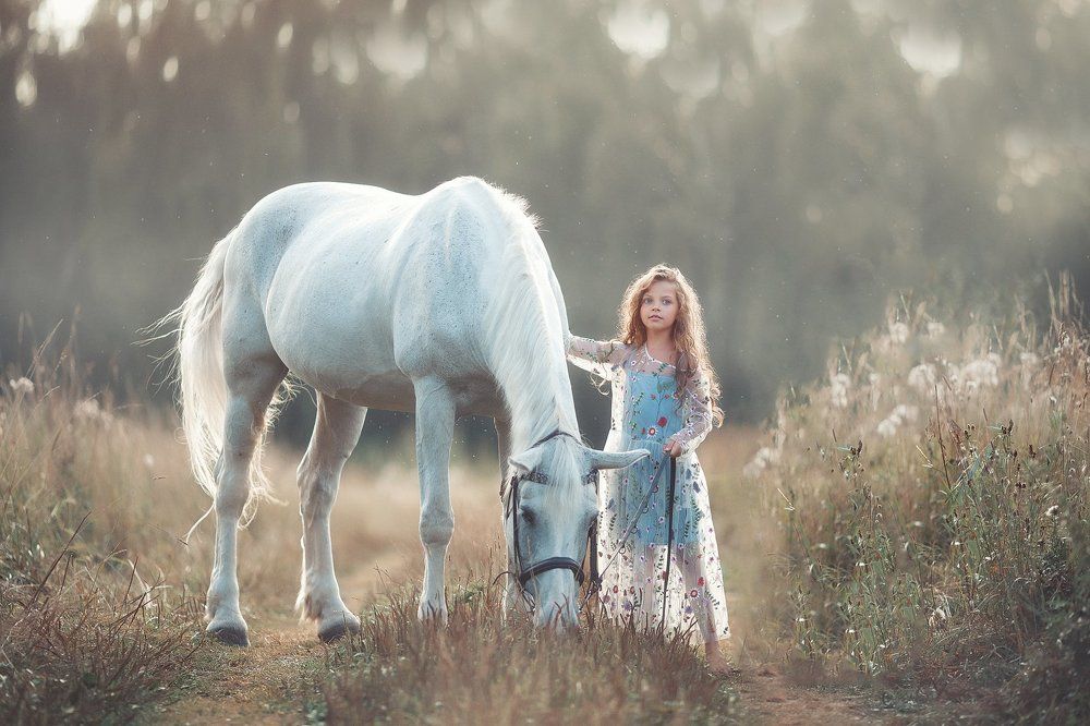 Сказки белой лошади