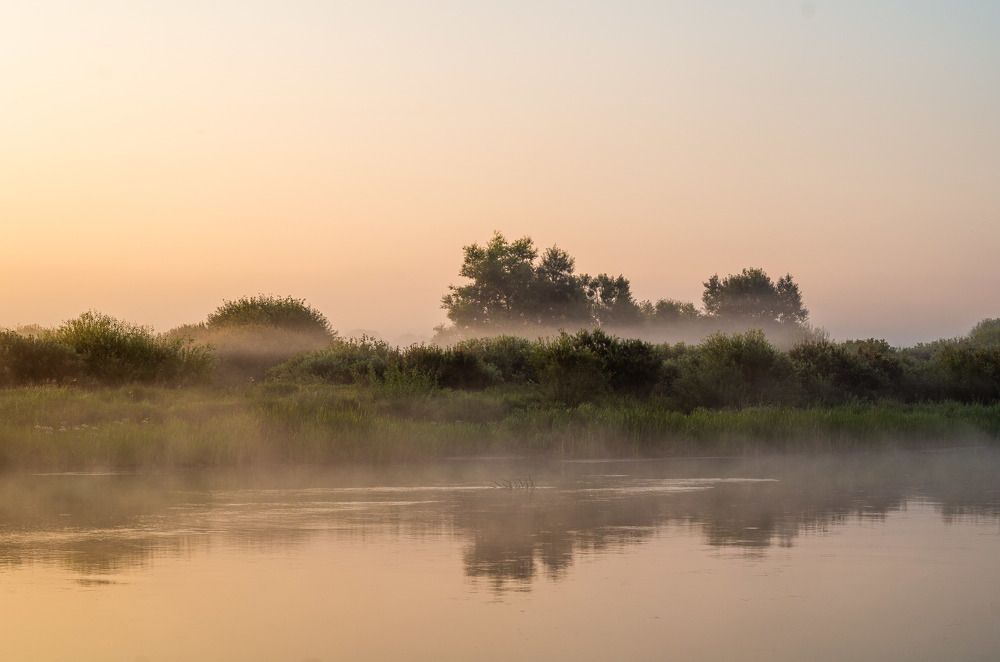Photograph by Евгений Новицкий