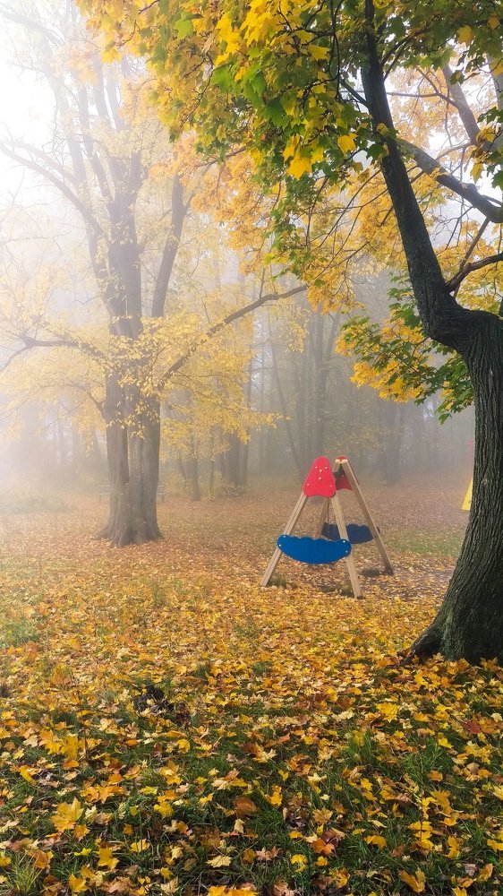 Качели в лесу