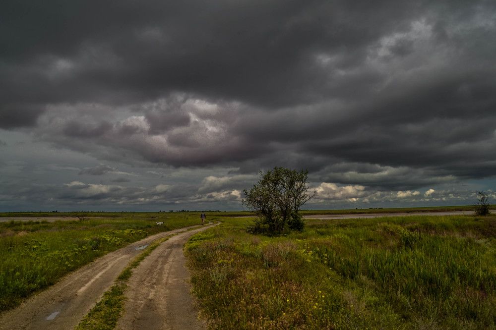 Далеко в степи...