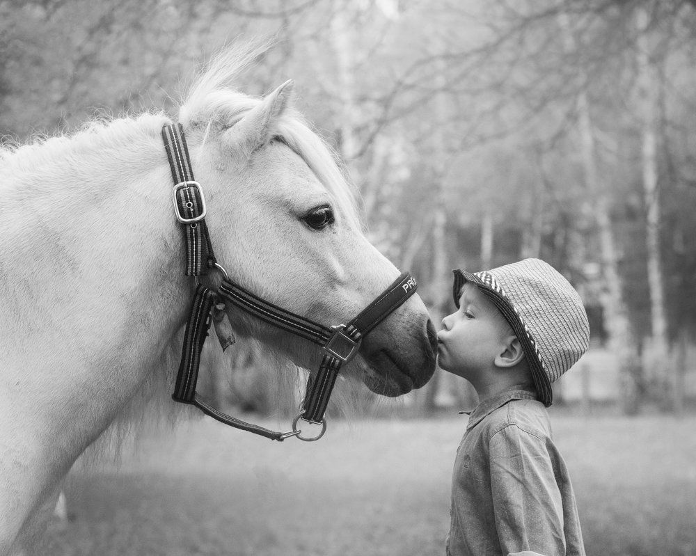 Photograph by Людмила Солдатченкова