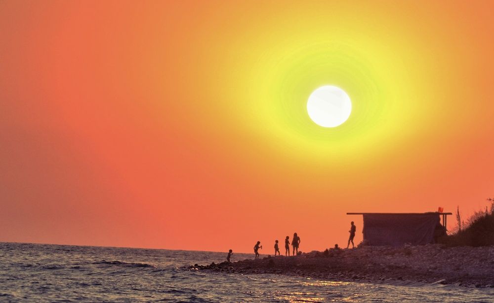 На заре эволюции