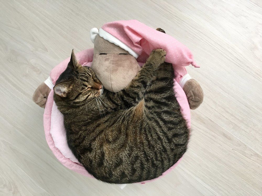 Photograph by Надежда