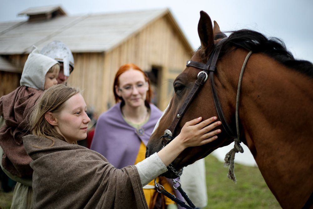 Конь друг реконструкторов.