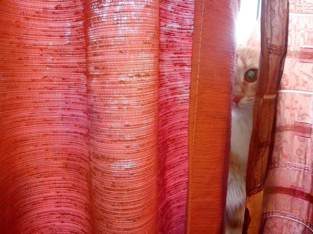 Photograph by Олег Красильников