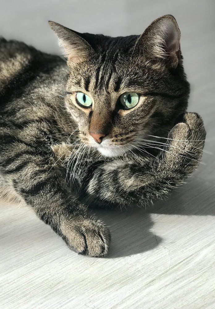 Photograph by Надежда