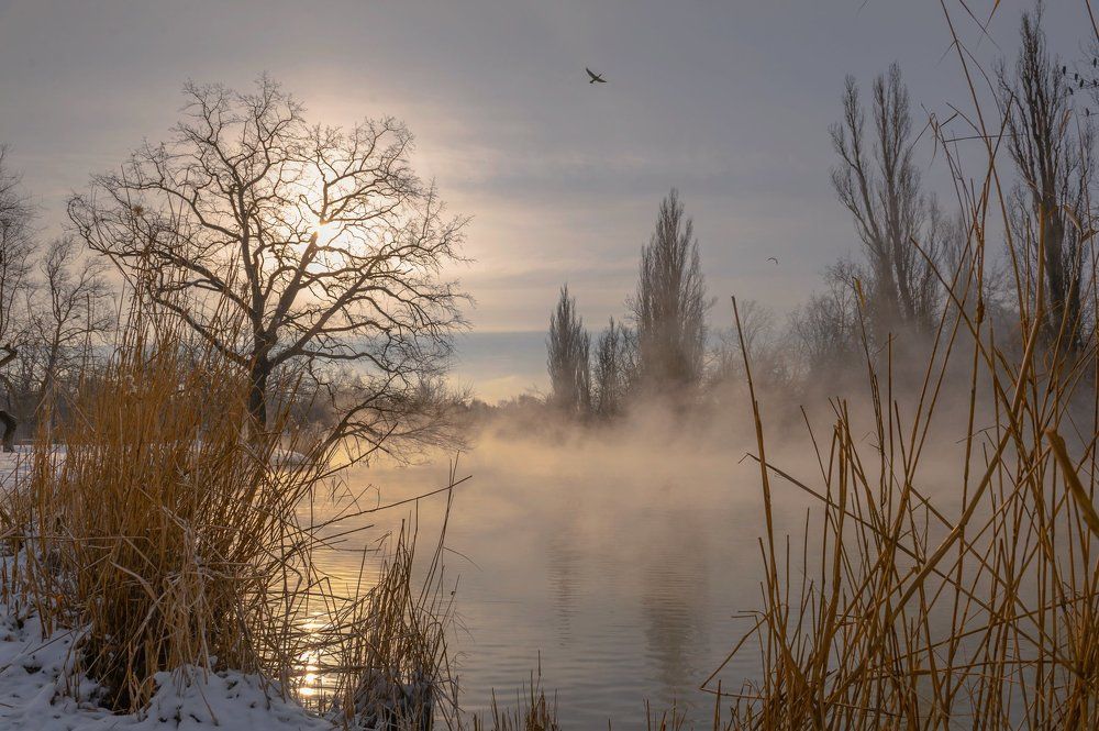 Январский туман