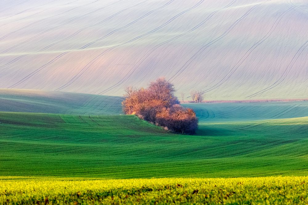 Moravian landscape in autumn