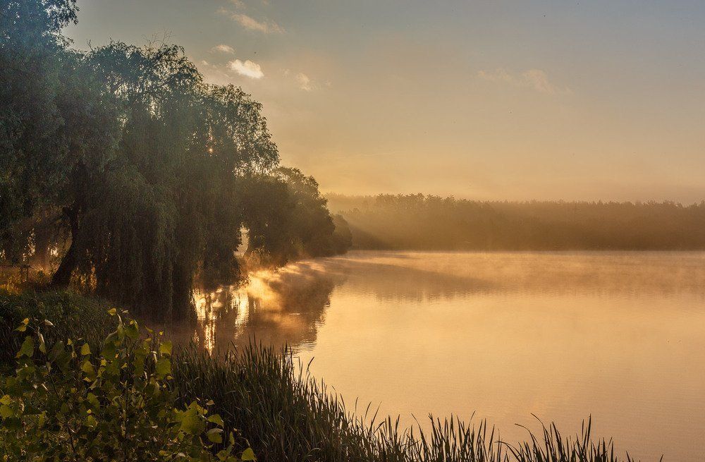 Туман на озере.
