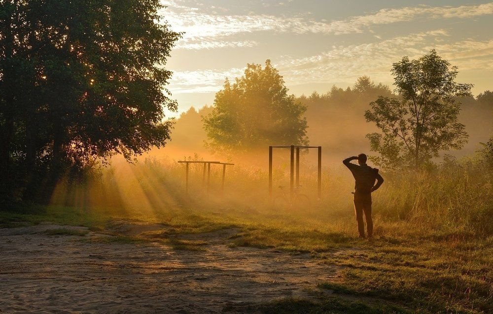 Навстречу солнцу
