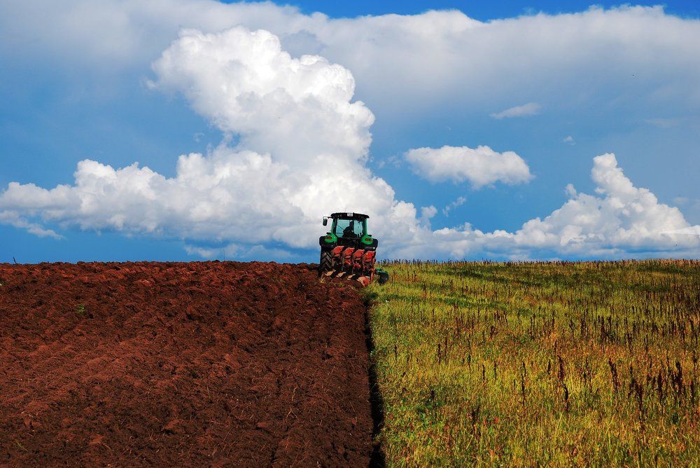 Making field more beautiful