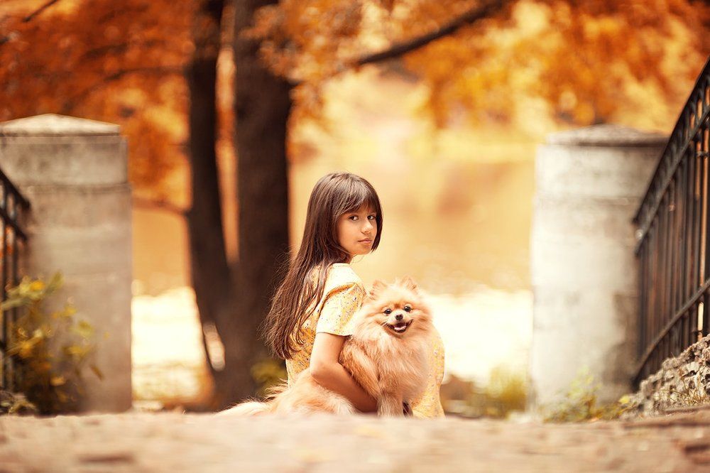 Посмотри в осень