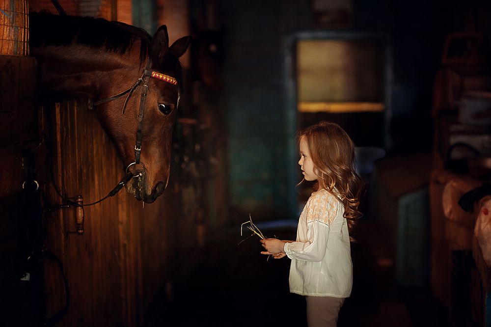 Давай дружить