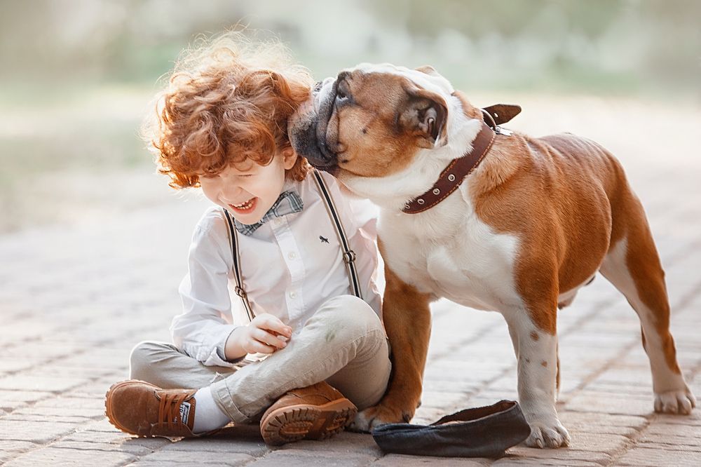 Photograph by Тимакова Татьяна