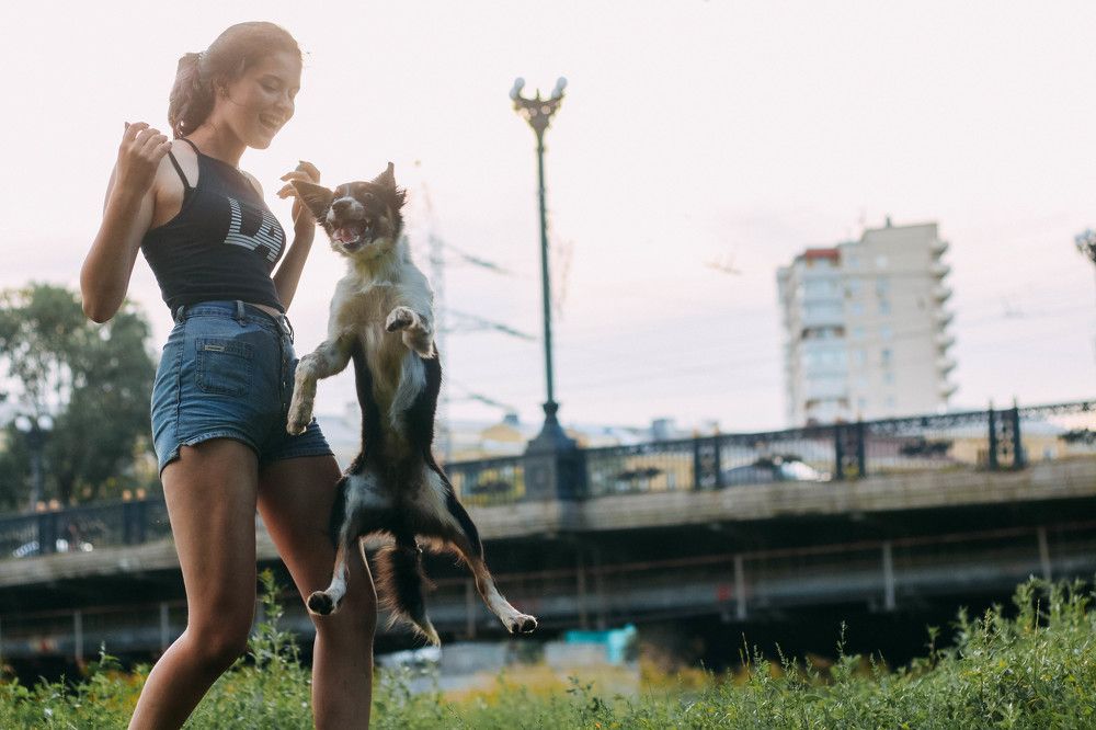 Пять минут - полет нормальный!