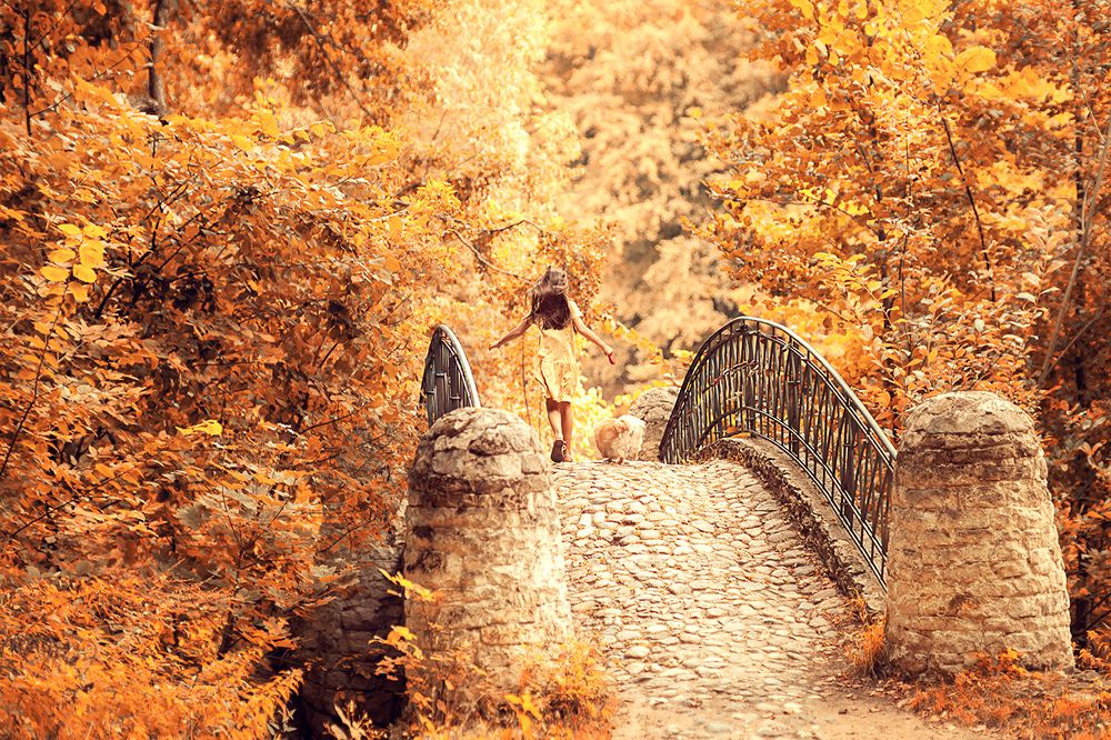 По дороге в осень