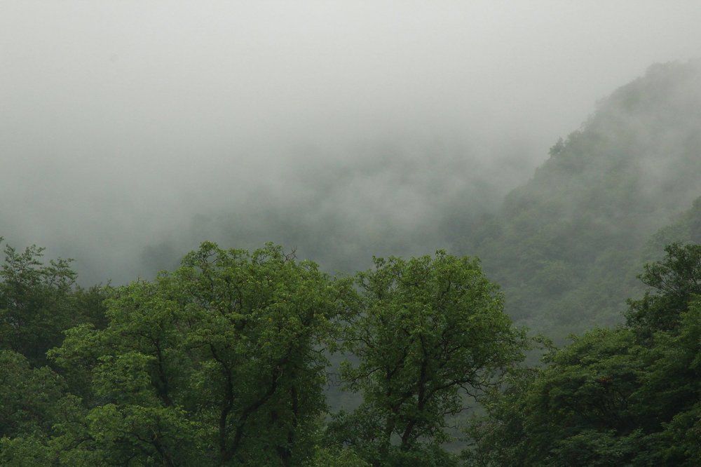 Фотография автора Marina Samarina