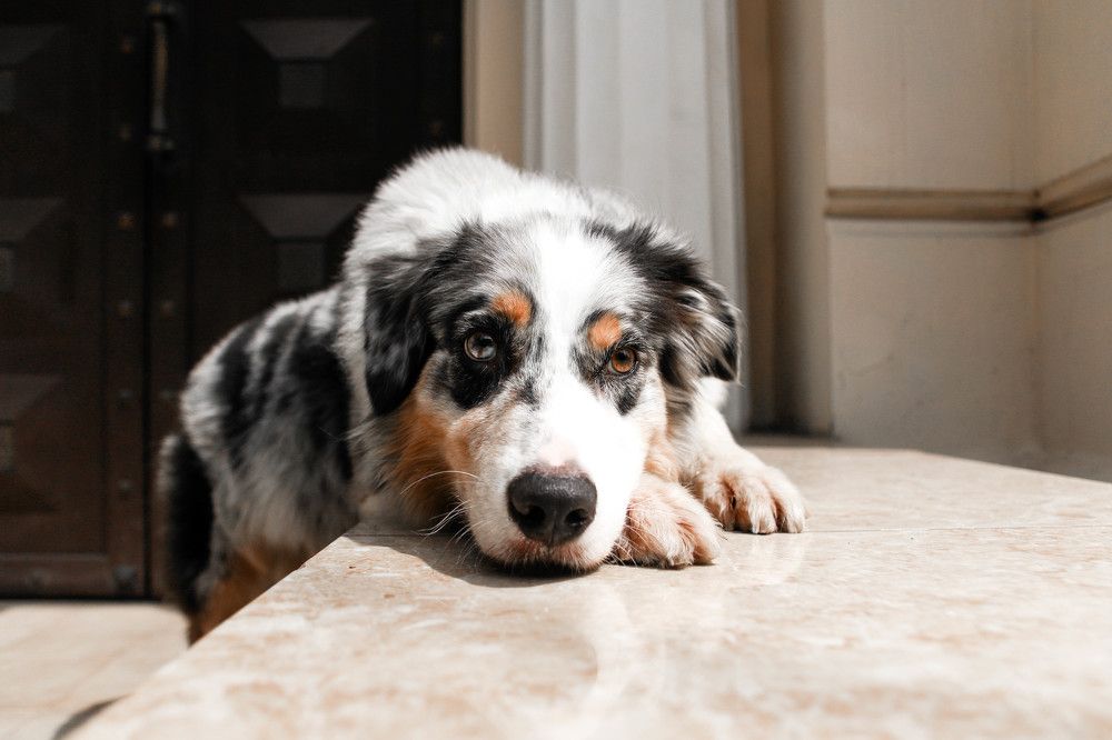 Взгрустнулось..