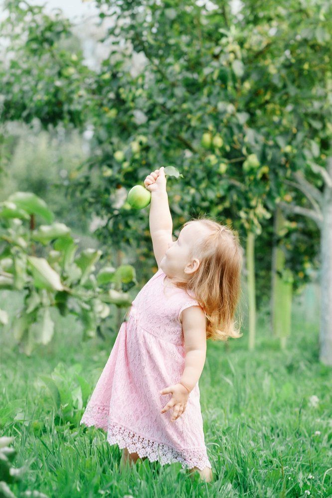 Вот оно какое волшебное яблочко.