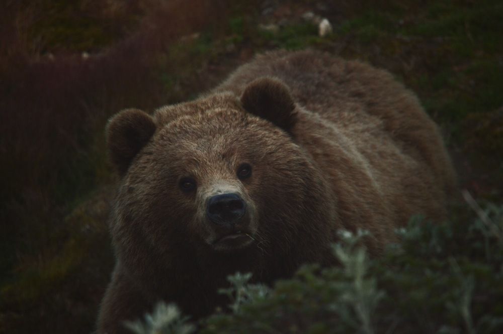 Неожиданно