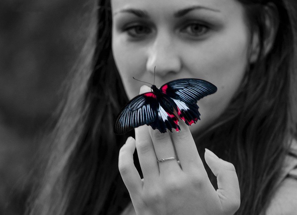 Молчание тропической бабочки