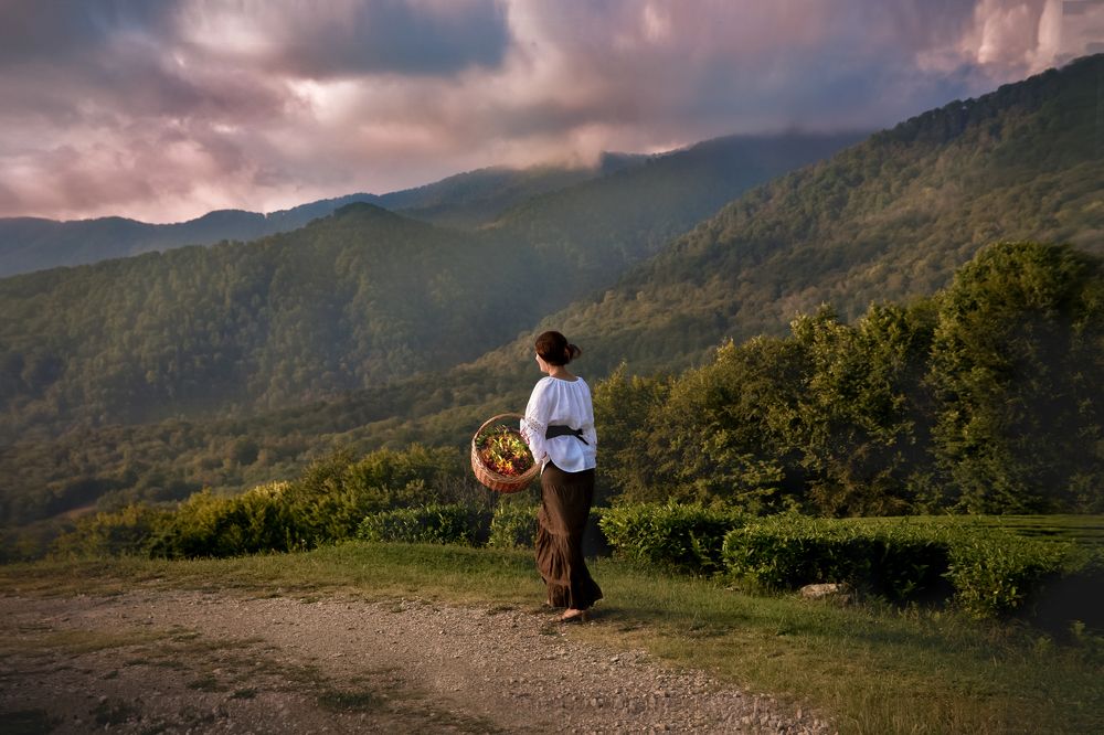 Перед грозой