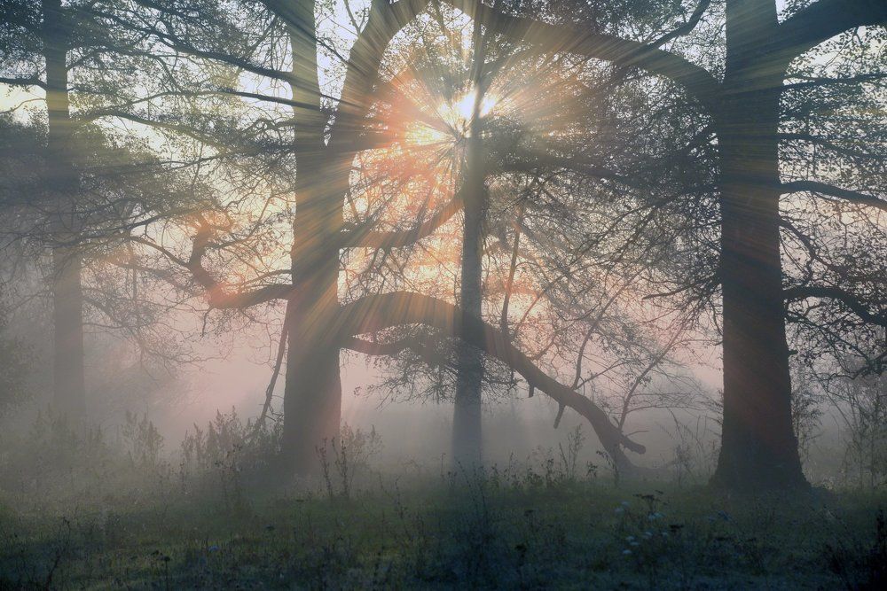 Солнце встаёт