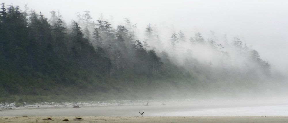 Coastal Fog