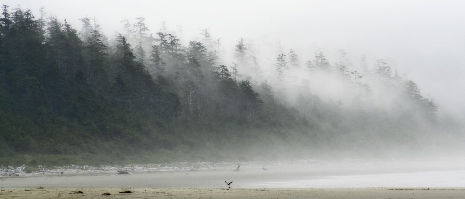 Coastal Fog