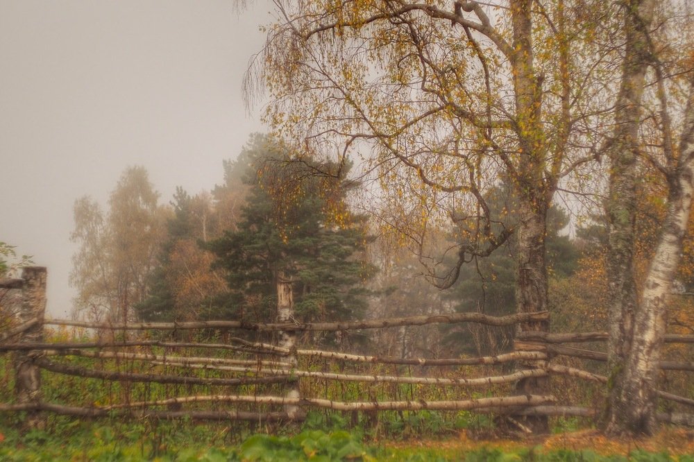 За околицей