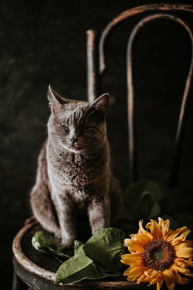 Настроение - август